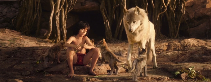 Книга джунглей